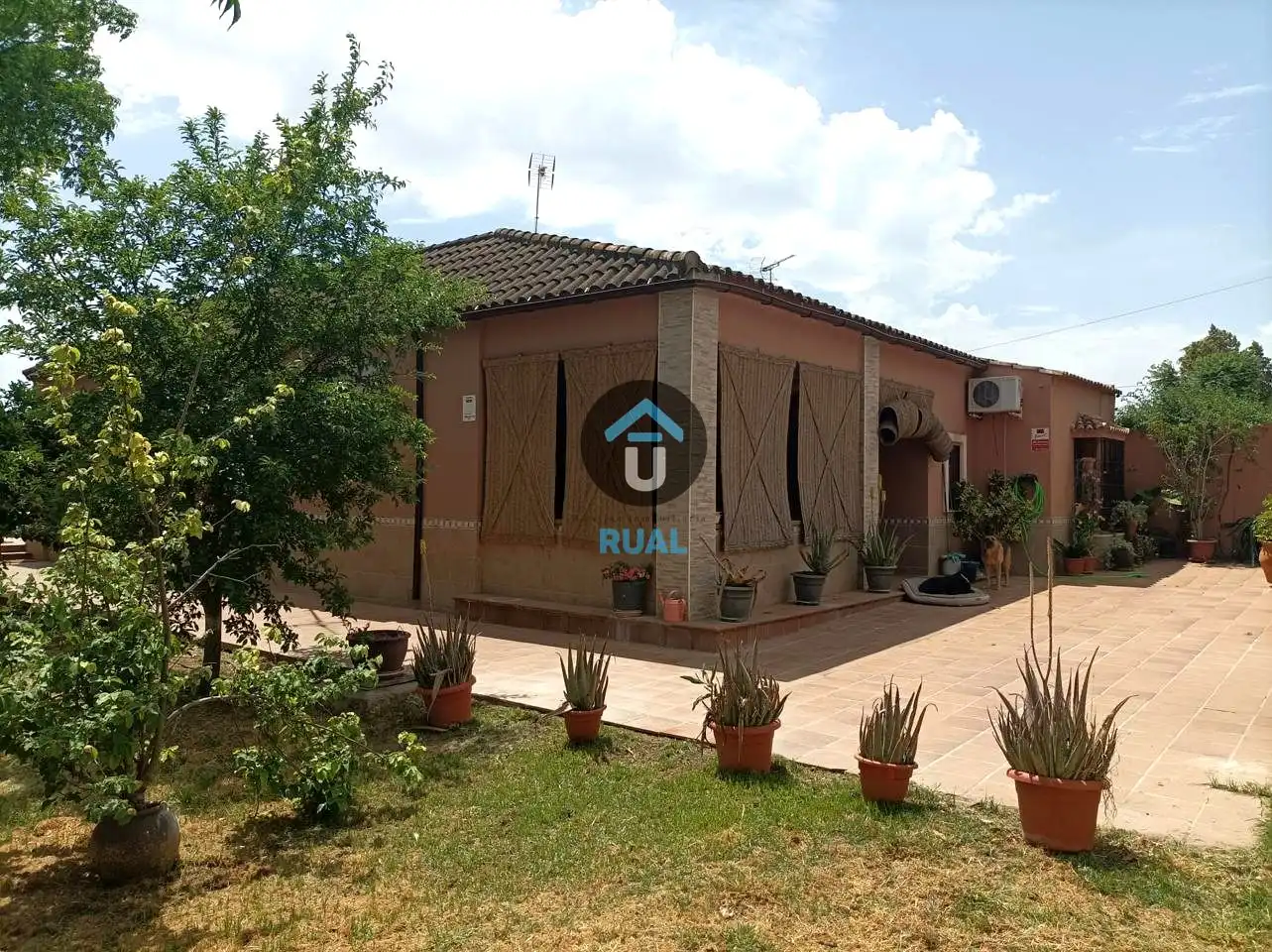 Vista exterior de Casa o chalet en venta en Mairena del Aljarafe con Aire acondicionado, Jardín privado y Terraza