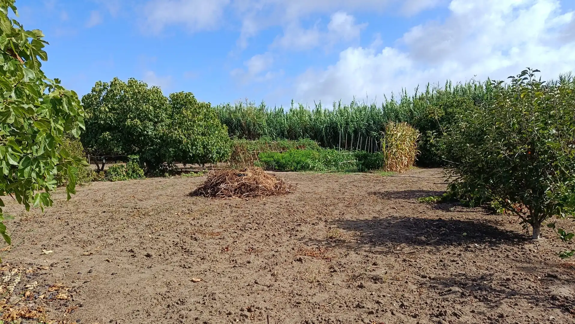 Terreno en venta en Rota