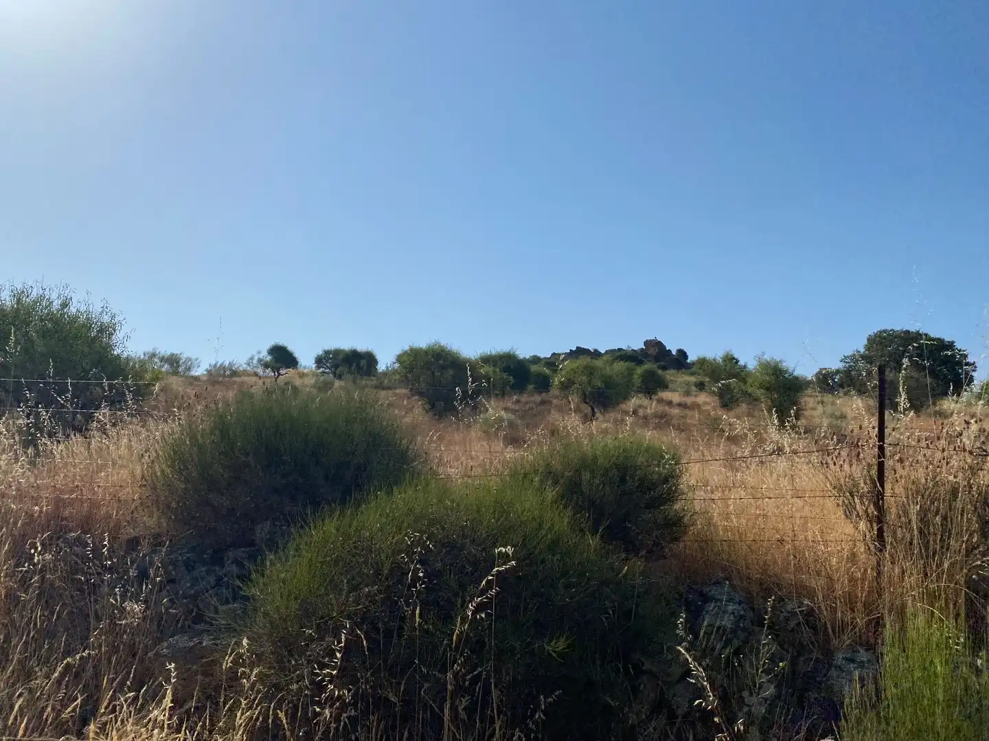 Grundstücke zum Verkauf in Aldeanueva de San Bartolomé