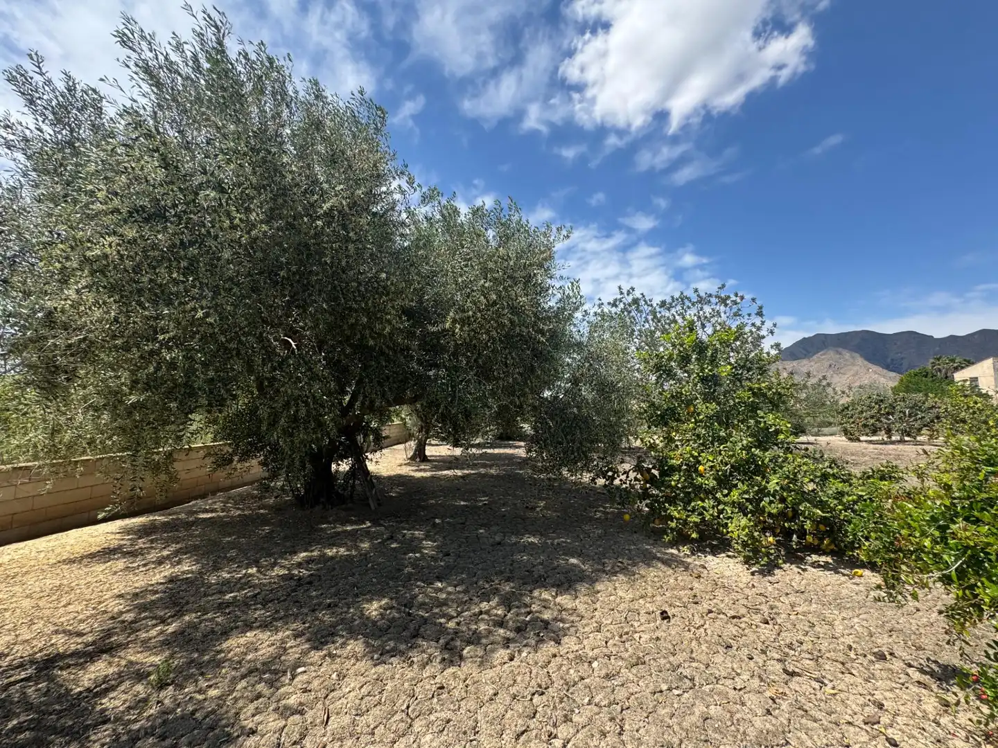 Casa en venta en Callosa de Segura, imagen 17