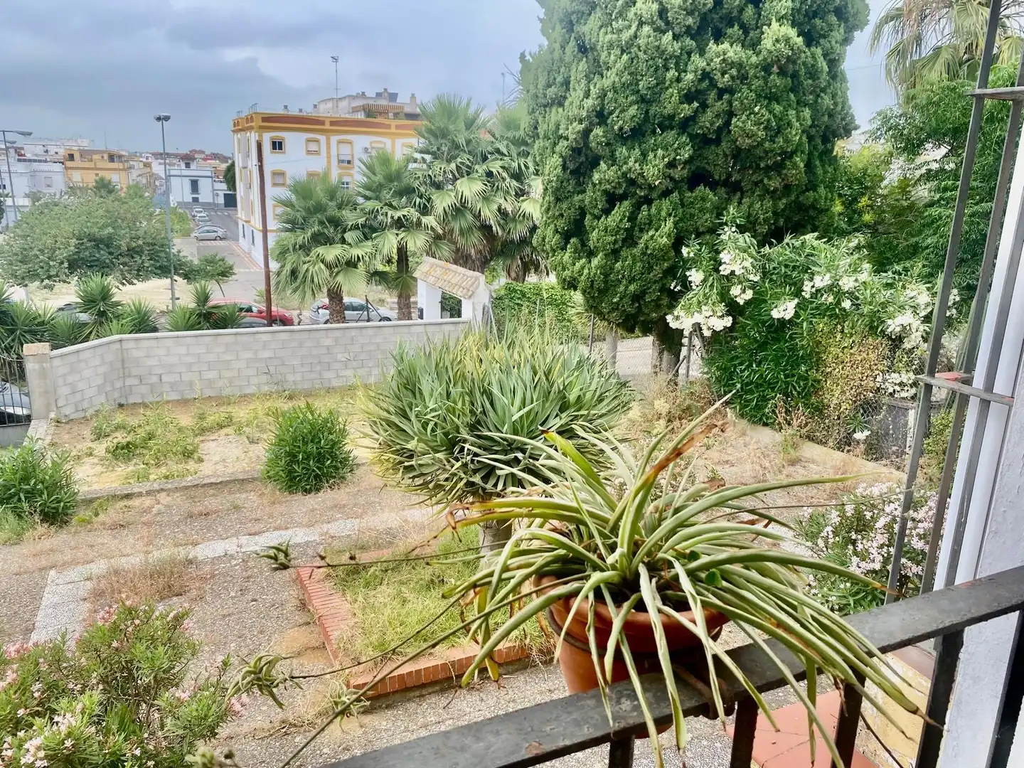 Jardín de Casa o chalet en venta en Sanlúcar de Barrameda con Jardín privado, Terraza y Piscina comunitaria