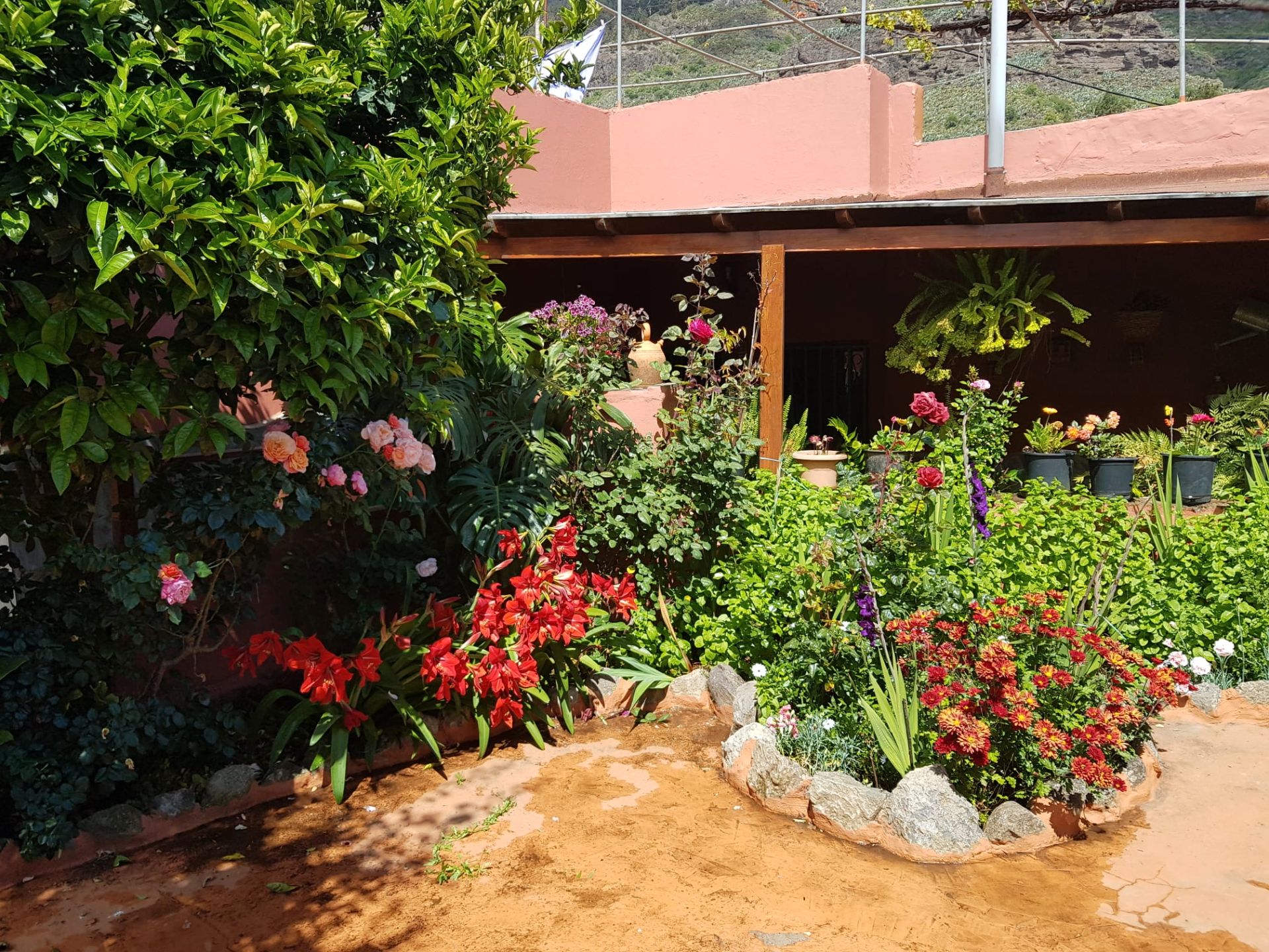 Garden of House or chalet for sale in Valsequillo de Gran Canaria  with Private garden, Terrace and Storage room