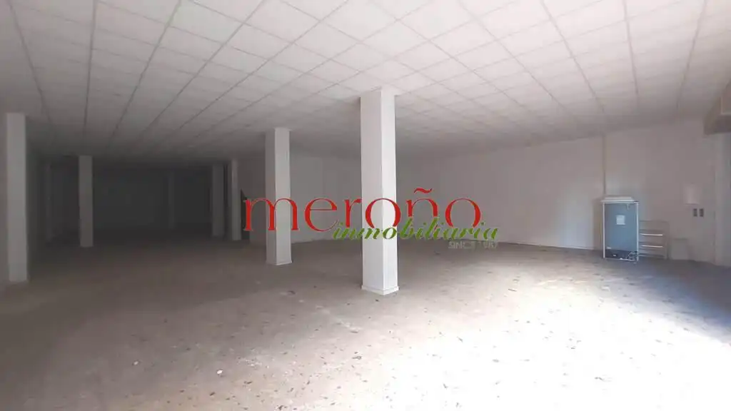 Commercial properties for rent in Elche / Elx