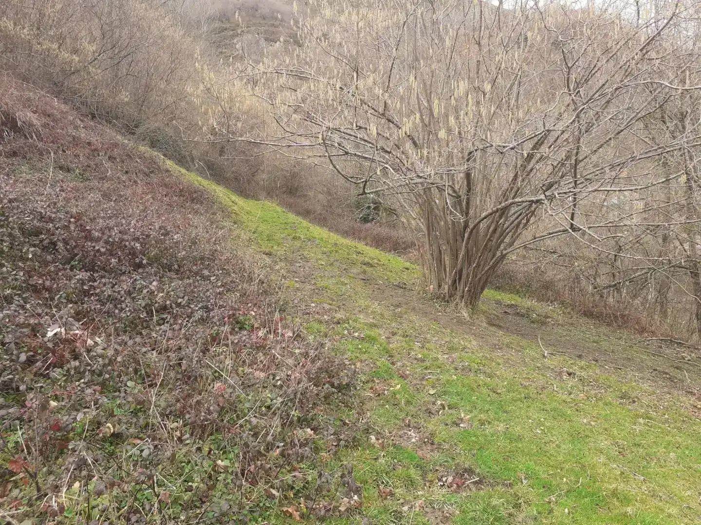 Finca rústica en venda en Caso