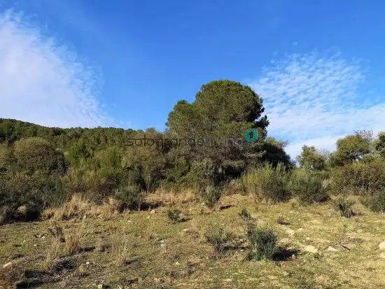 Casa rústica en venda a Gaucín, imagen 5