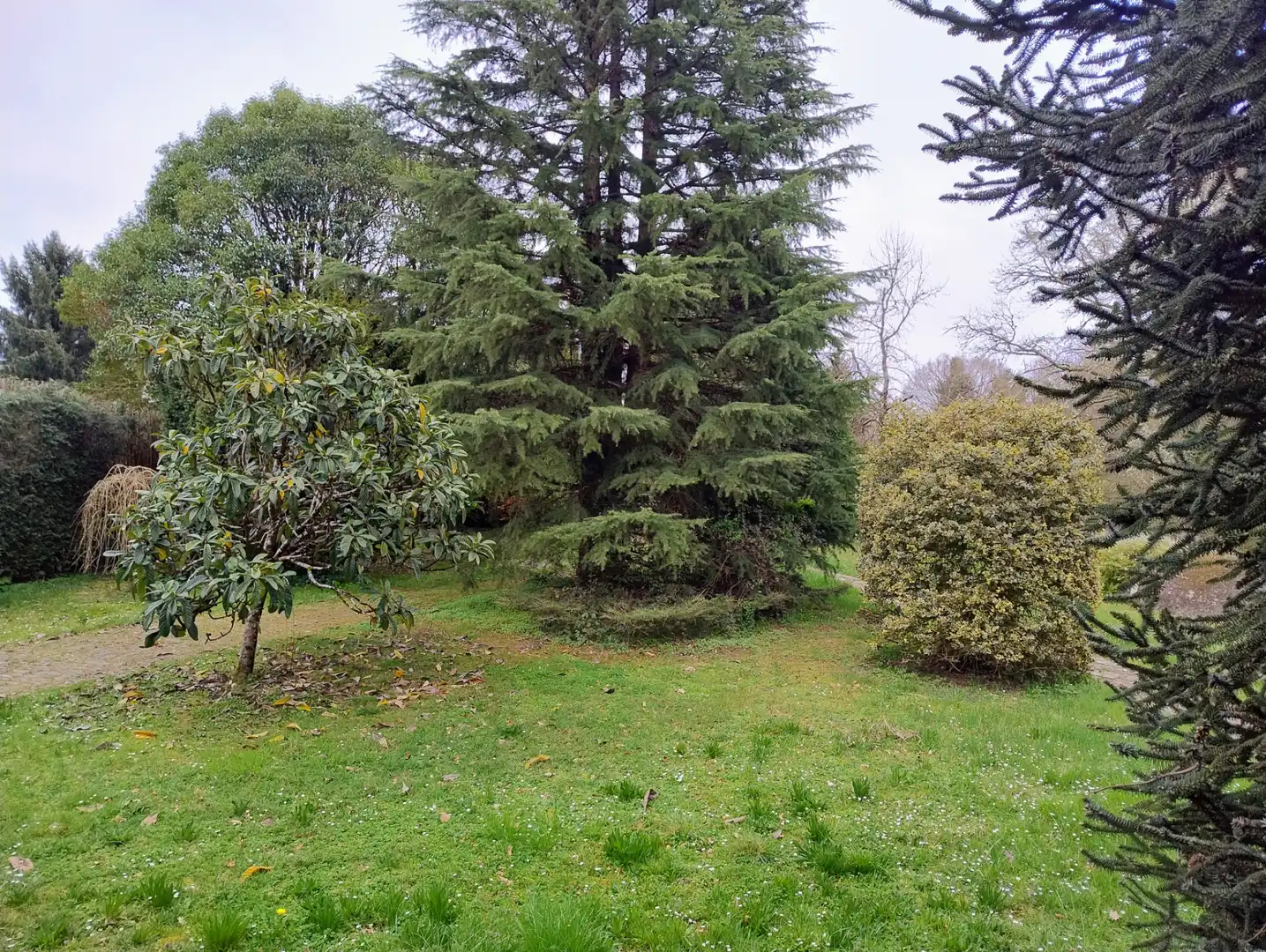Casa o chalet en venta en Lugo con Amueblado