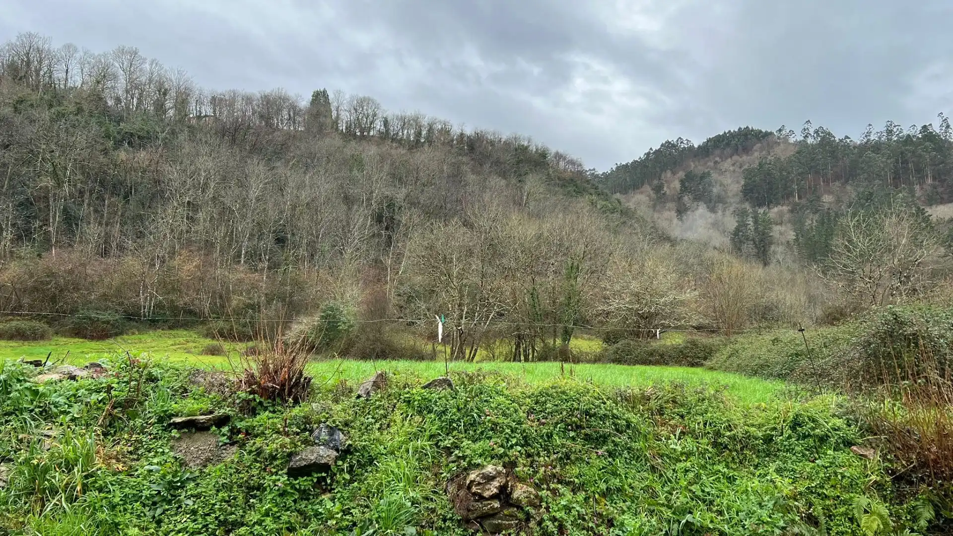 Houses for sale in Cangas de Onís  with Private garden