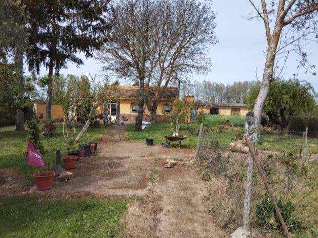 Terreno en Venta en Calle Carretera de Castrillo, 3 en Villasabariego