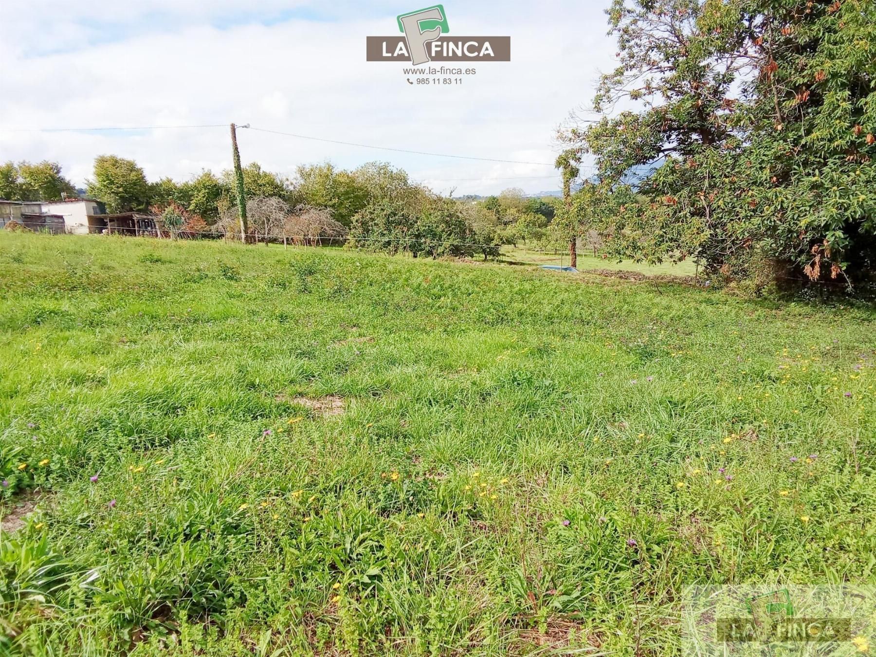 Residential for sale in Siero