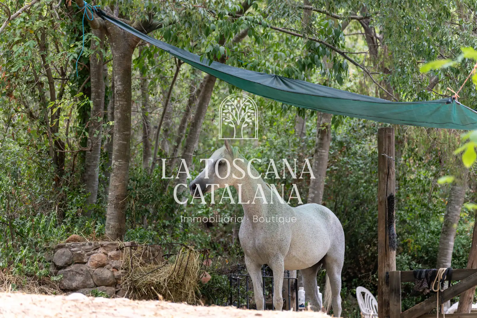 Finca rústica en venta en Sales de Llierca con Aire acondicionado, Calefacción y Jardín privado