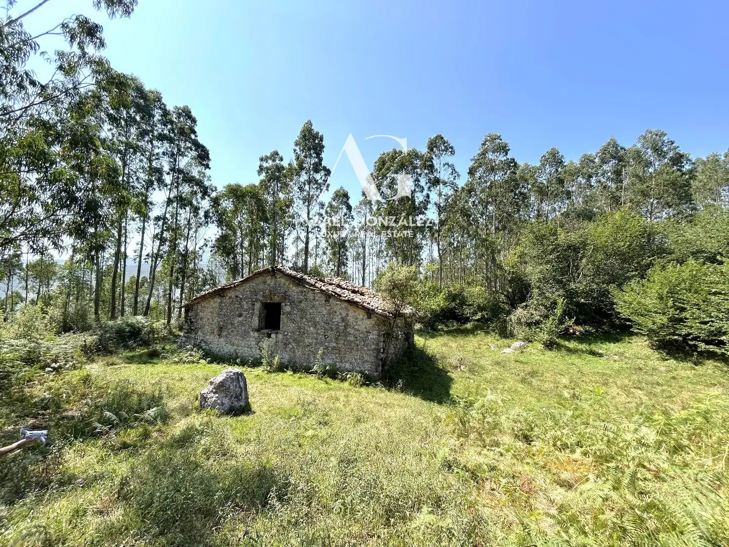 Casa o chalet en venta en Herrerías