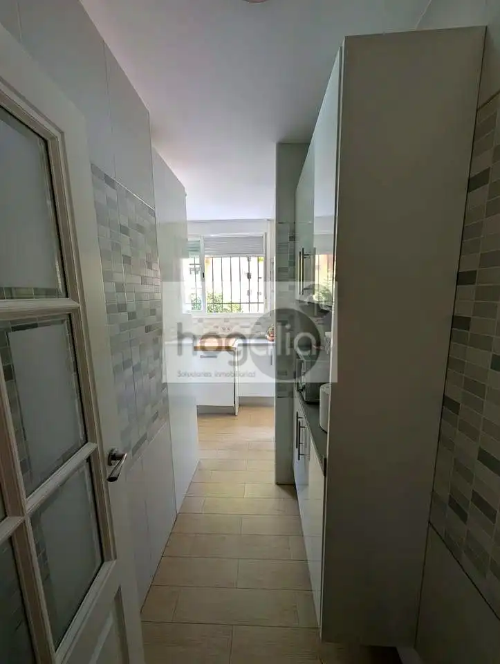 Flat for rent in Macarena