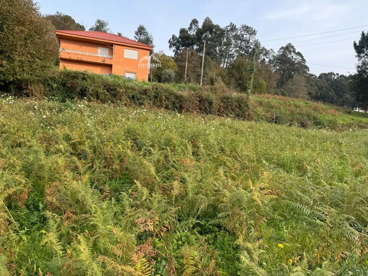 Terreno rústico en venta en Bembrive, imagen 20