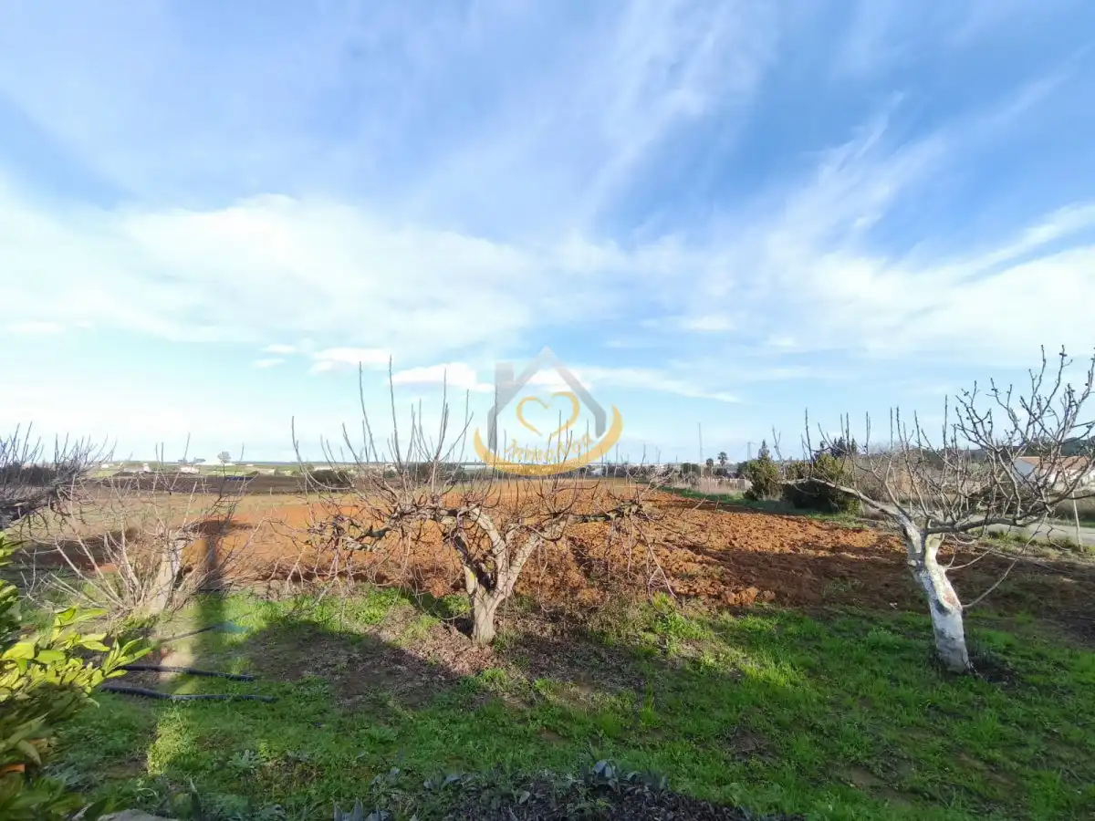 Terrenos y solares en venta en Núcleo urbano, imagen 50