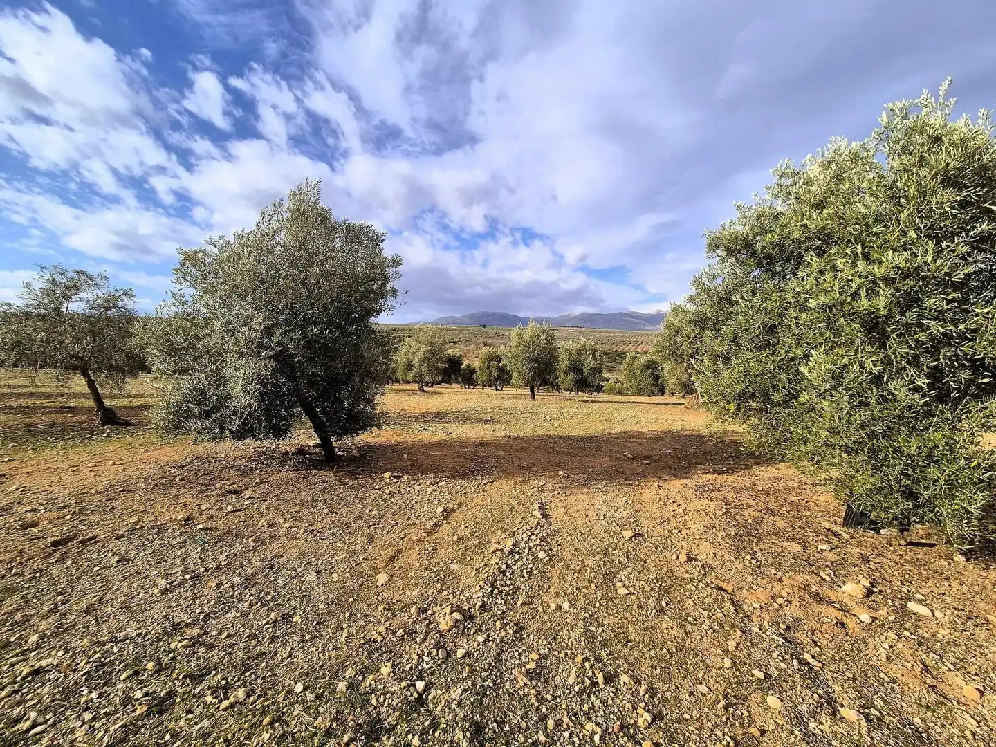 Terreno residencial en venta en Salar, imagen 3