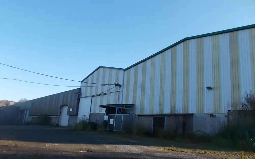 Industriegebäude zum Verkauf in C/ Benito Vicetto