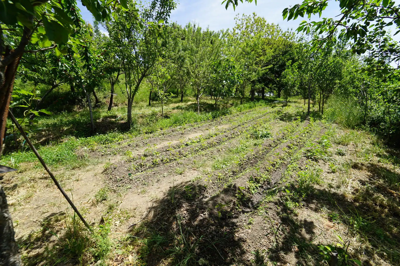 Finca rústica en venda en La Taha amb Terrassa i Moblat