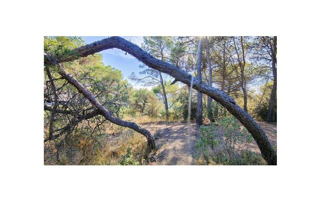 Terreno residencial en Venta en El Racó - Sant Feliu del Racó