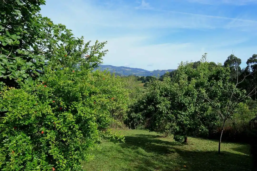 Casa o xalet de lloguer en Villaviciosa amb Calefacció, Jardí privat i Terrassa