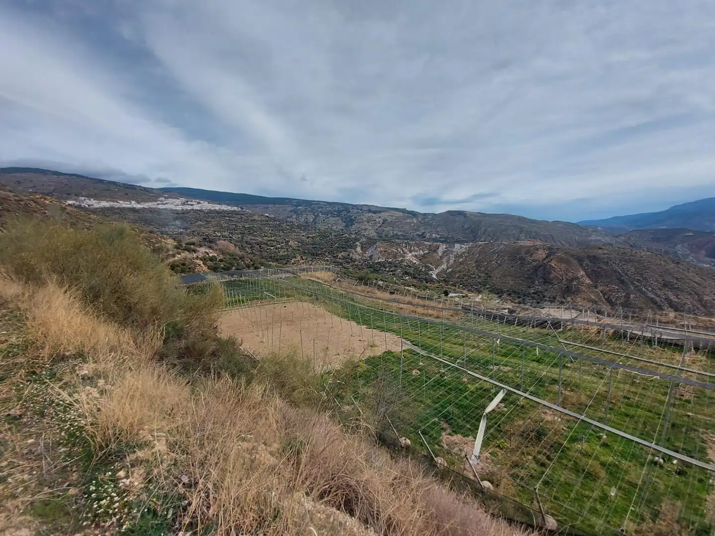 Country homes for sale in Nevada