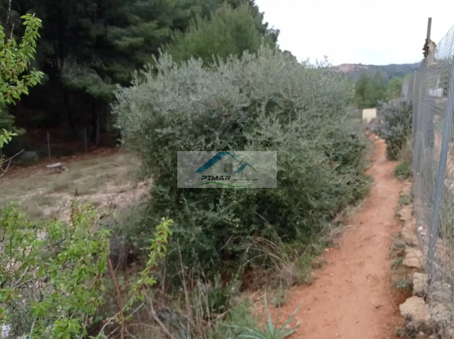 Terrenys i solars en venda a Monóvar  / Monòver, imagen 7