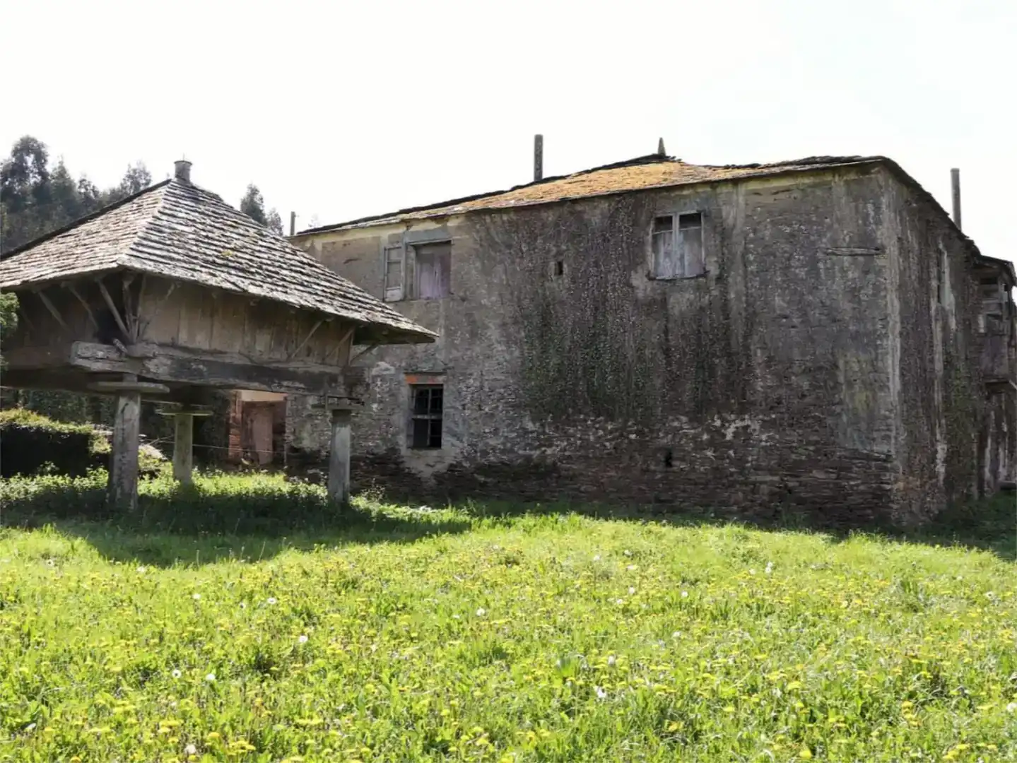 Vista exterior de Finca rústica en venta en Pol