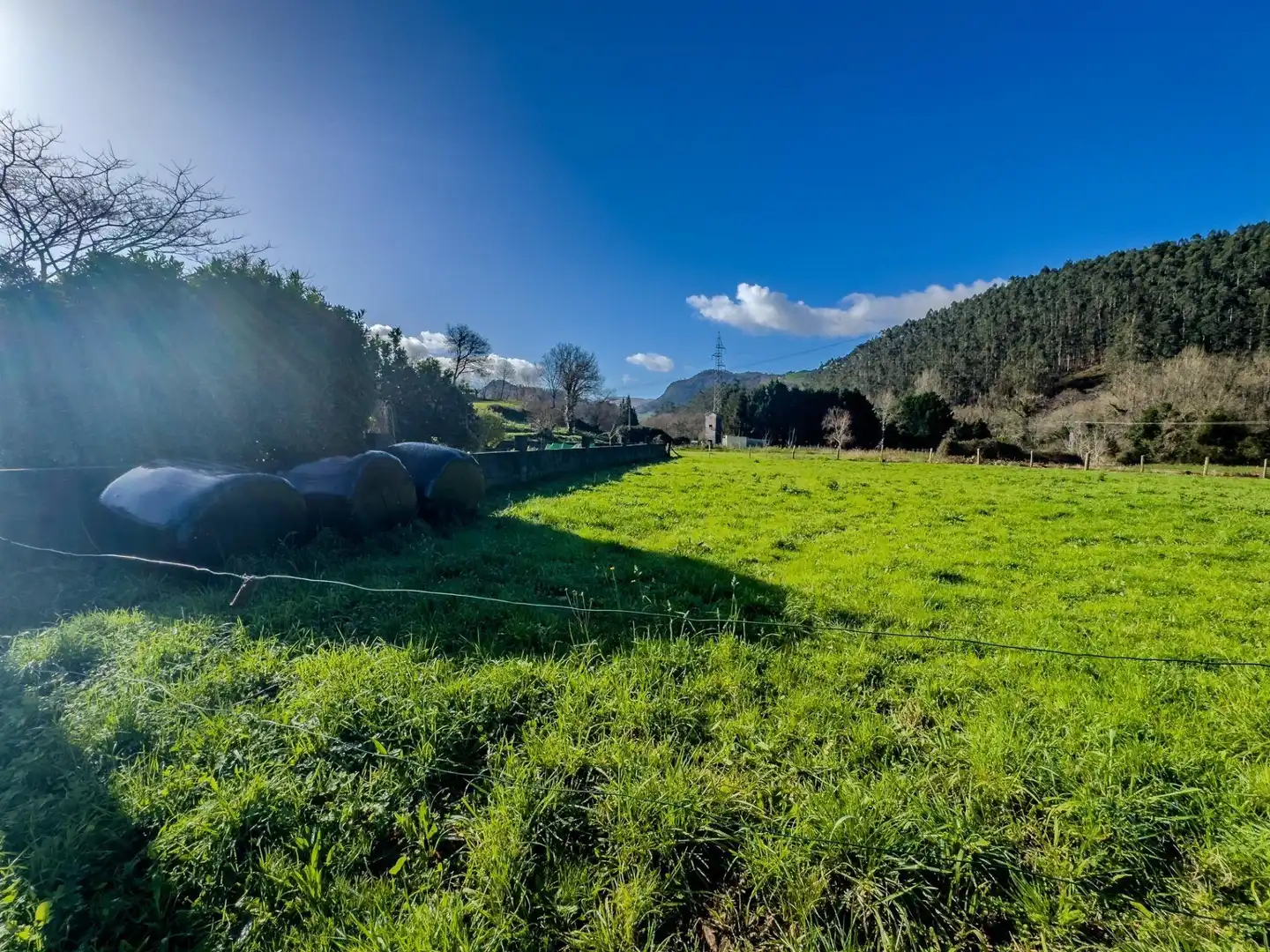 Land for sale in Castañeda