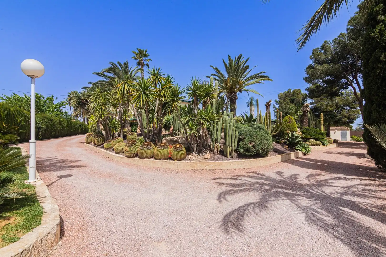 Jardín de Casa o chalet en venta en Elche / Elx con Jardín privado, Terraza y Piscina