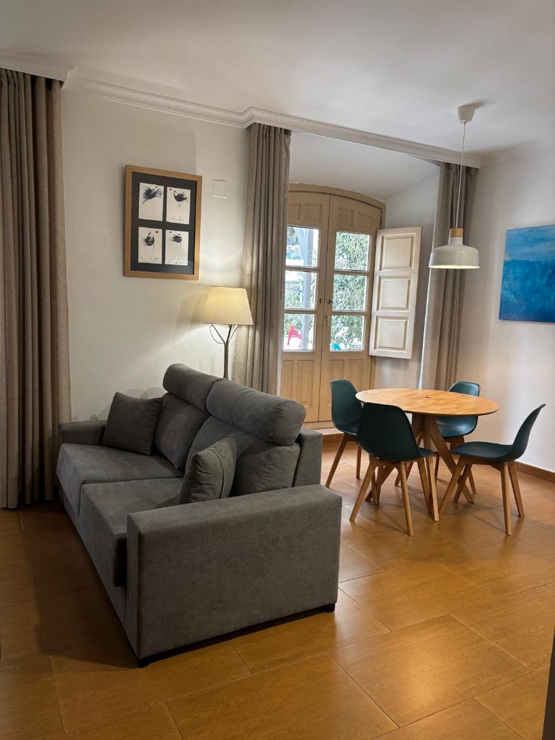 Living room of Flat to rent in Málaga Capital  with Air Conditioner, Heating and Furnished