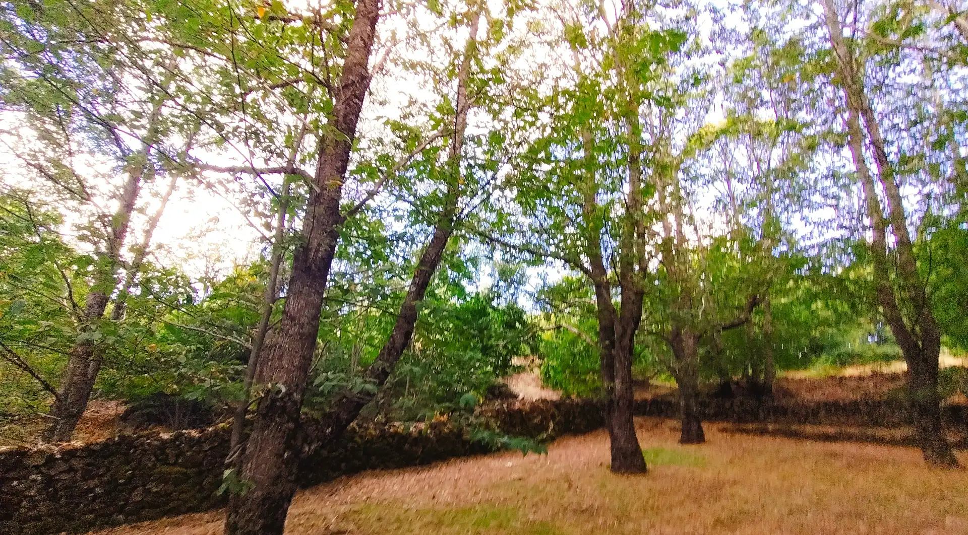 Rustikales Grundstück zum Verkauf in Avenida Extremadura 72, imagen 7