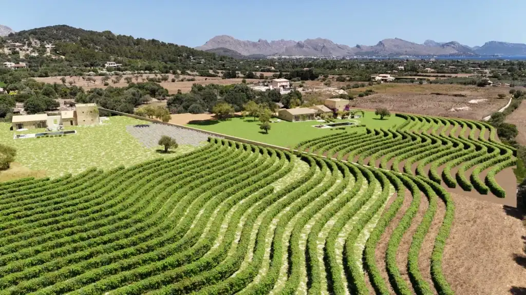 Terreno rustico in vendita a Pollença Poble, imagen 9