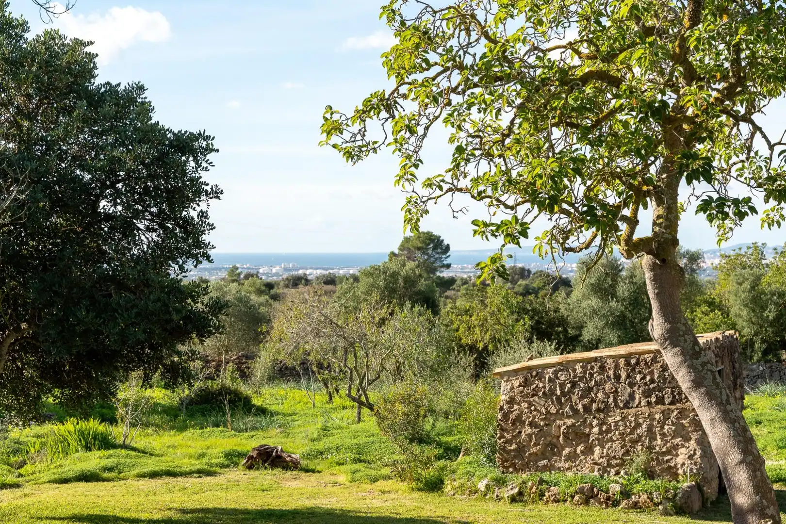 Casa con piscina in vendita a Pòrtol, imagen 33
