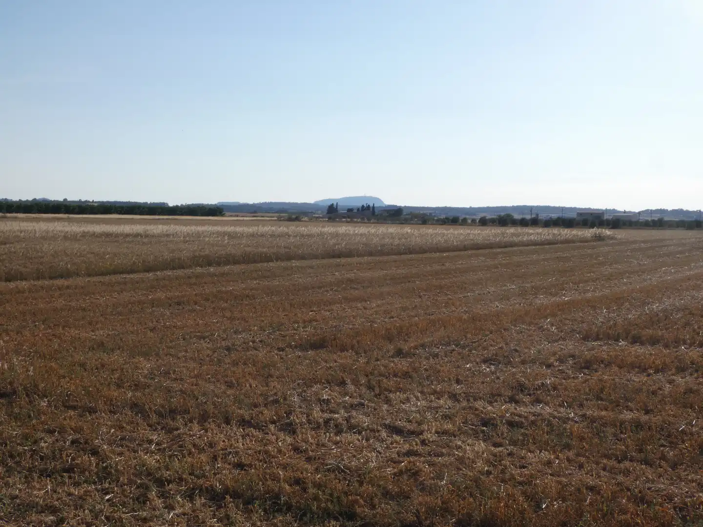 Terreno rustico in vendita a Vilafranca de Bonany, imagen 6