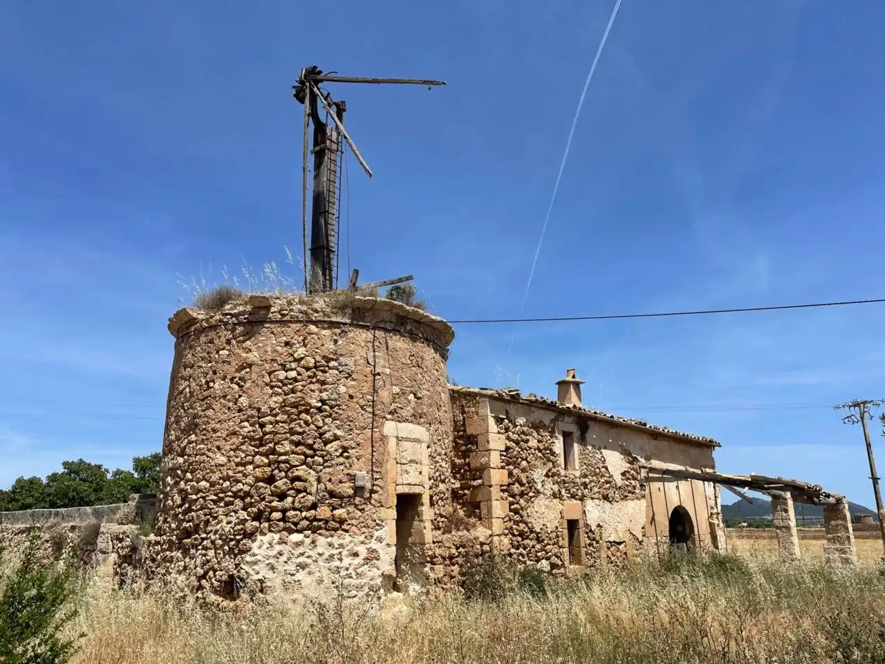 Terreny rústic en venda a Sa Pobla, imagen 8