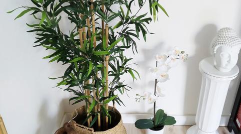 Foto 5 de Pis en venda a Calle Uruguay, Los Ángeles, Alicante / Alacant