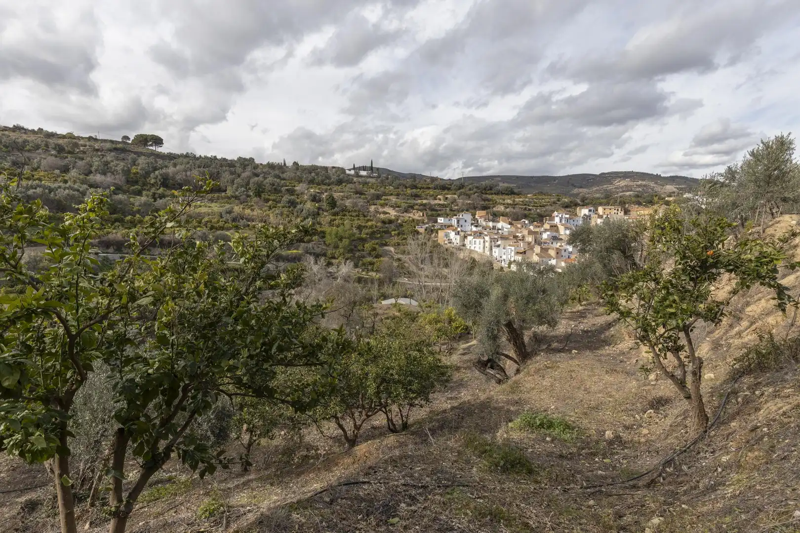 Finca rústica en venta en El Valle, Serón