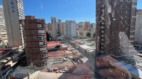 Piso céntrico de 3 dormitorios en Benidorm, imagen 5