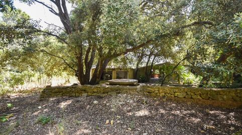 Foto 3 de Finca rústica en venta en Puigpunyent, Illes Balears