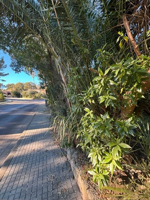 Residential for sale in Avinguda del Mal Pas, 9, Bacarés - Manresa  - Bonaire