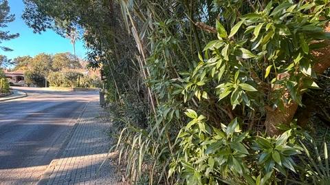 Photo 2 of Residential for sale in Avinguda del Mal Pas, 9, Bacarés - Manresa  - Bonaire, Alcúdia