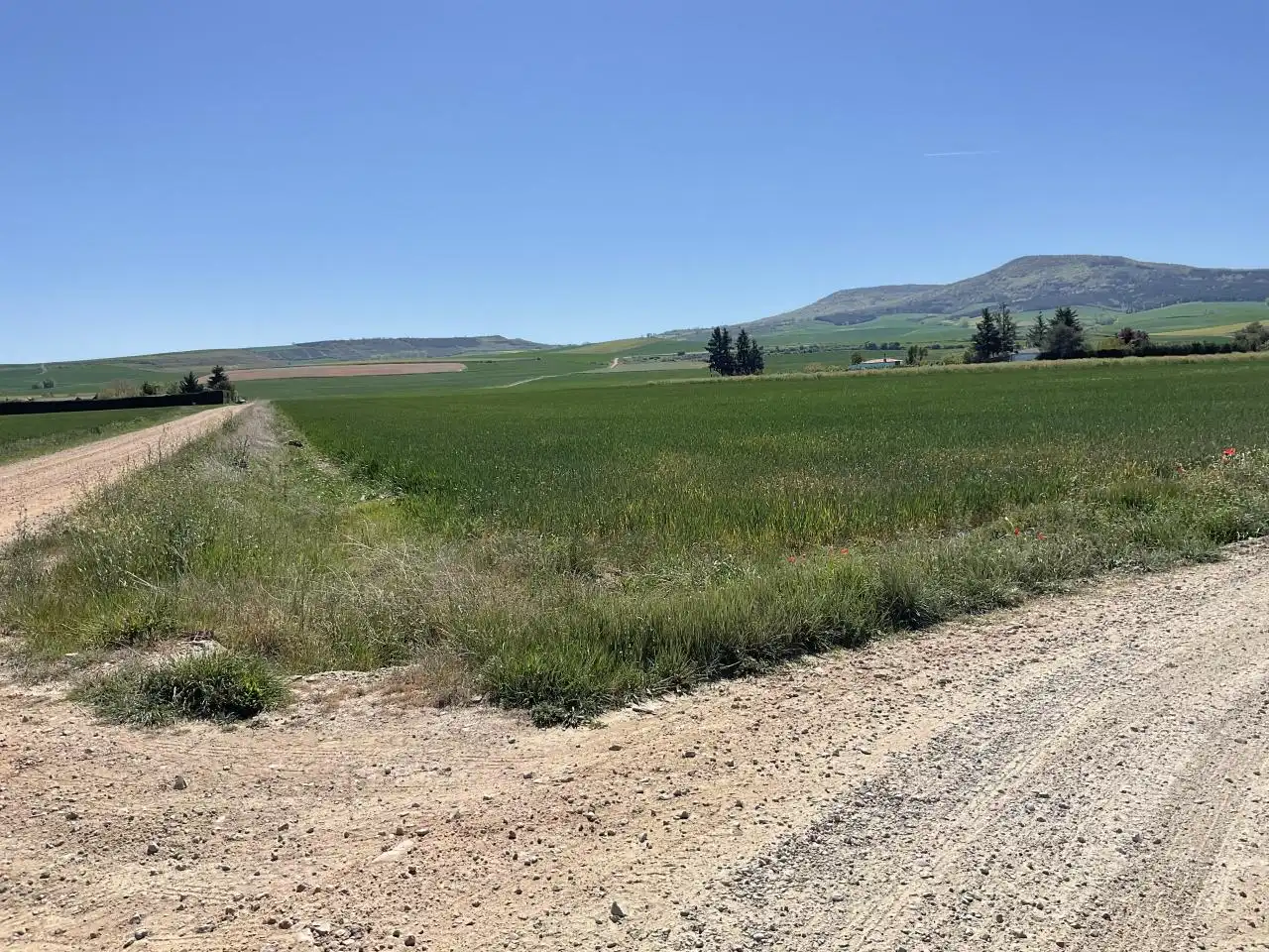 Terreny rústic en venda a Santo Domingo de la Calzada, imagen 6