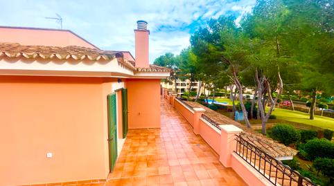 Photo 3 of Attic to rent in Maioris-Puig de Ros, Illes Balears