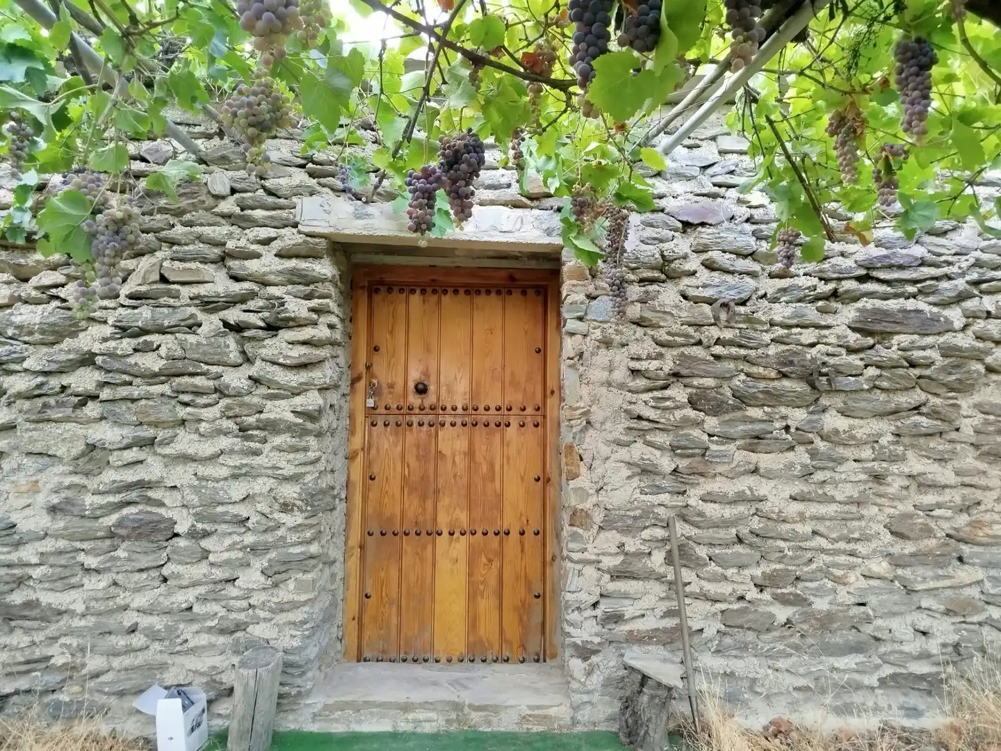 Rural land for sale in Alpujarra de la Sierra, imagen 7