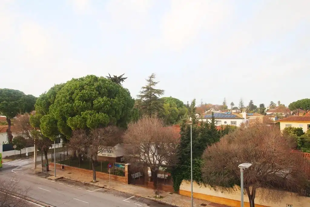 Vista exterior de Pis en venda en Jerez de la Frontera amb Parquet
