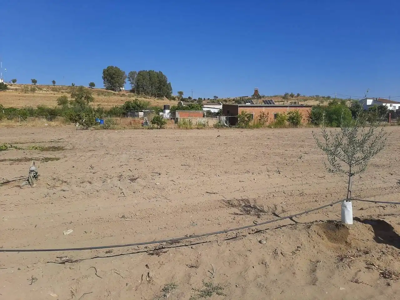 Casa o chalet en venta en Calamonte