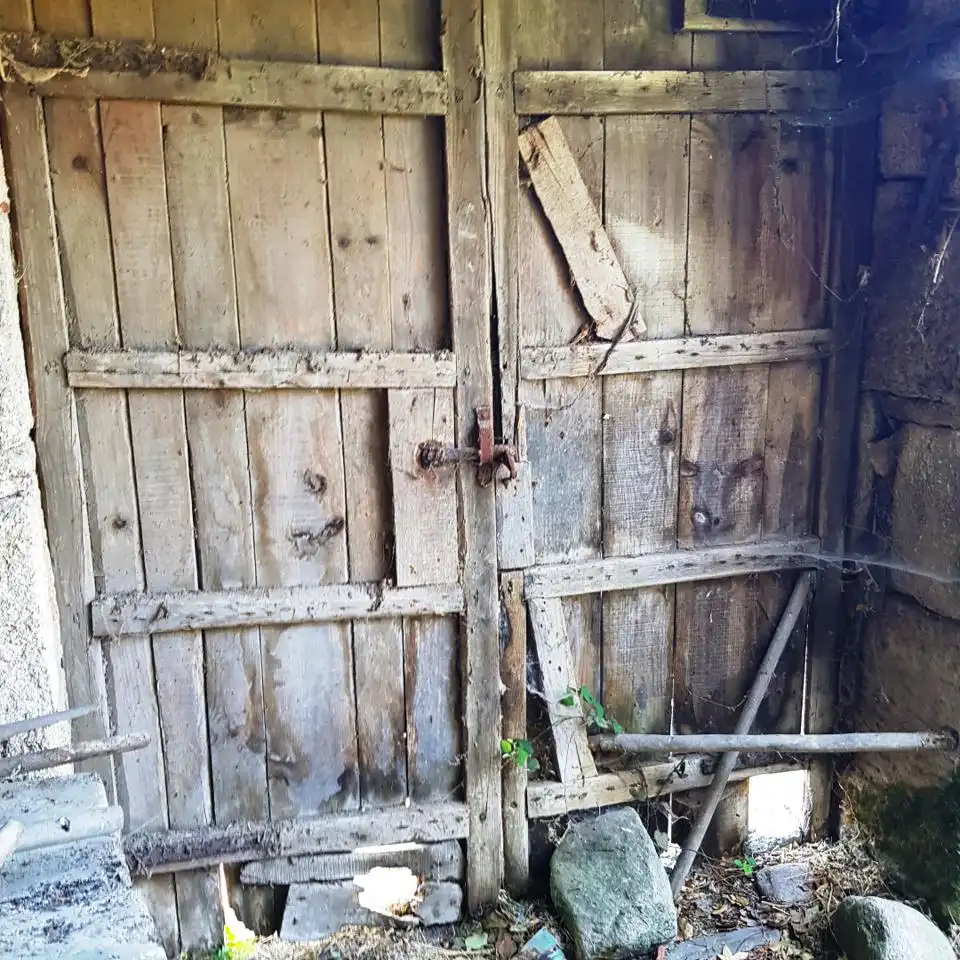 Vista exterior de Casa o xalet en venda en O Pereiro de Aguiar  amb Jardí privat