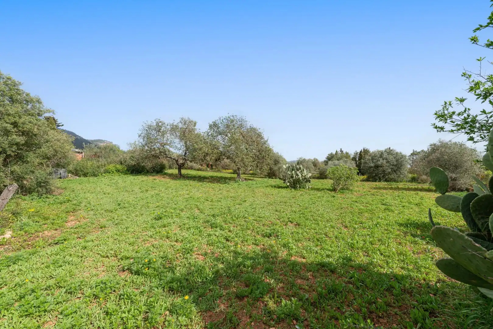 Casa o chalet en venta en Llucmajor con Jardín privado y Trastero