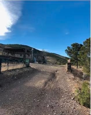 Land for sale in Nacimiento