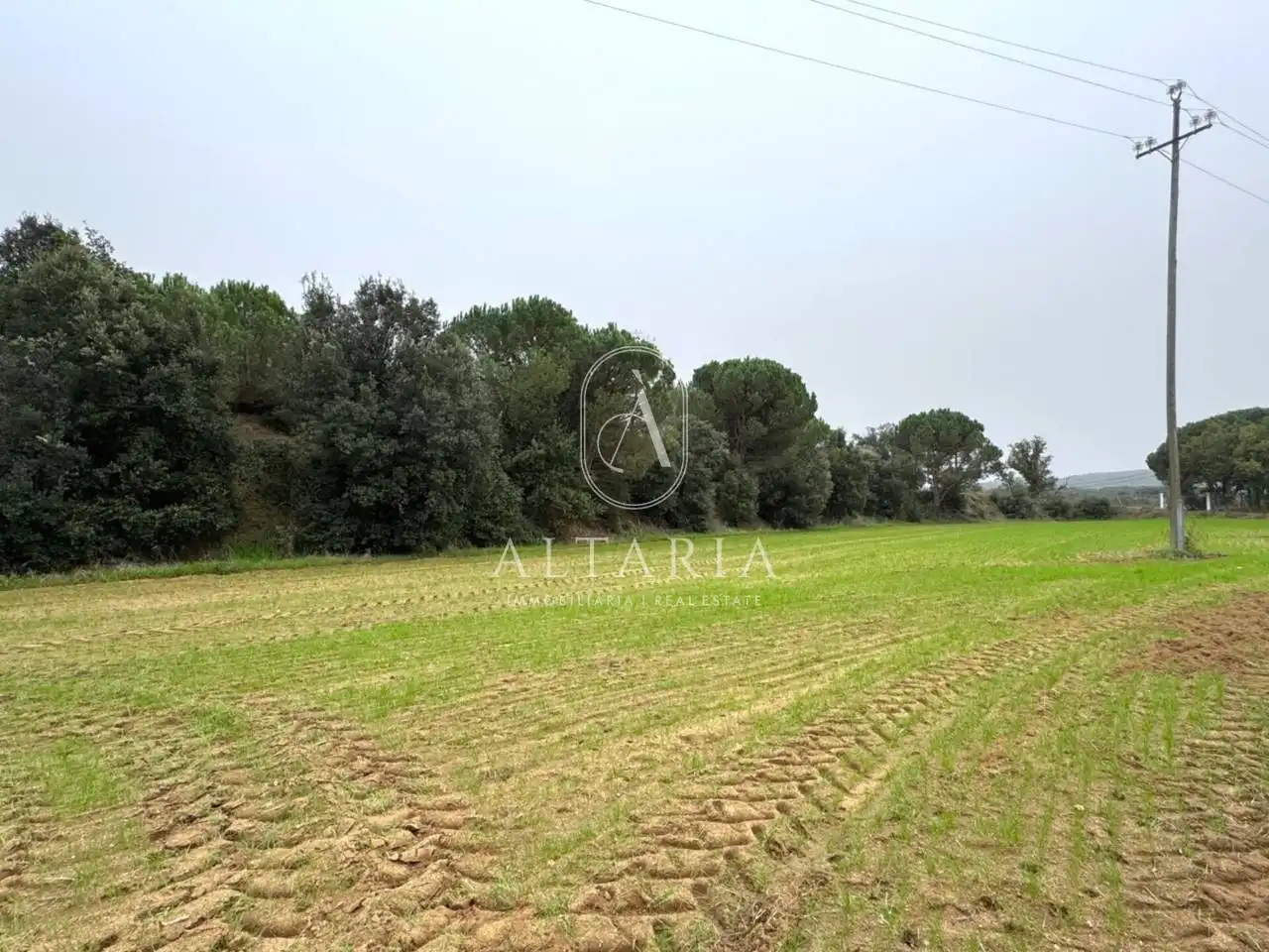 Casa rústica amb jardí en venda a Calle Sant Tou, imagen 25