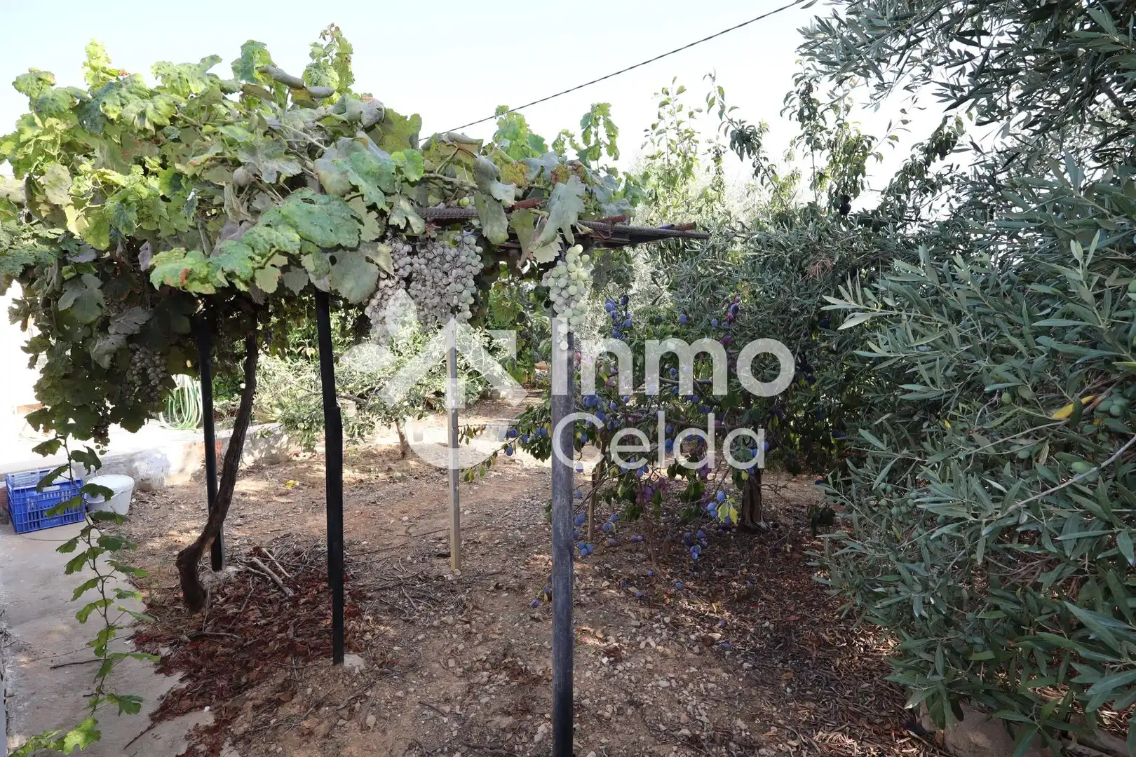 Jardí de Casa o xalet en venda en Torrent amb Aire condicionat, Calefacció i Jardí privat